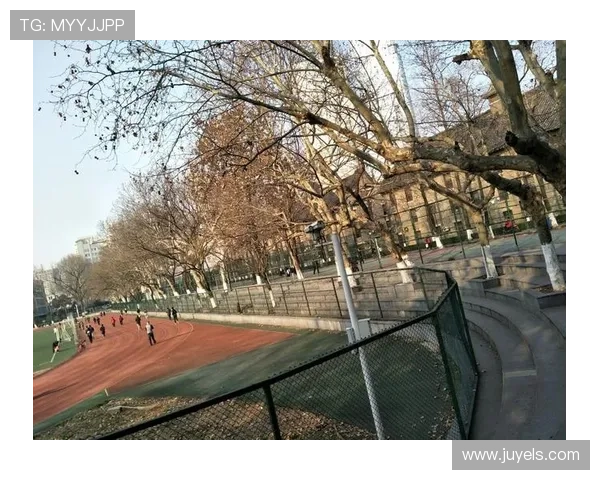 南京乒乓球队逆袭全国锦标赛的辉煌历程与背后故事揭秘